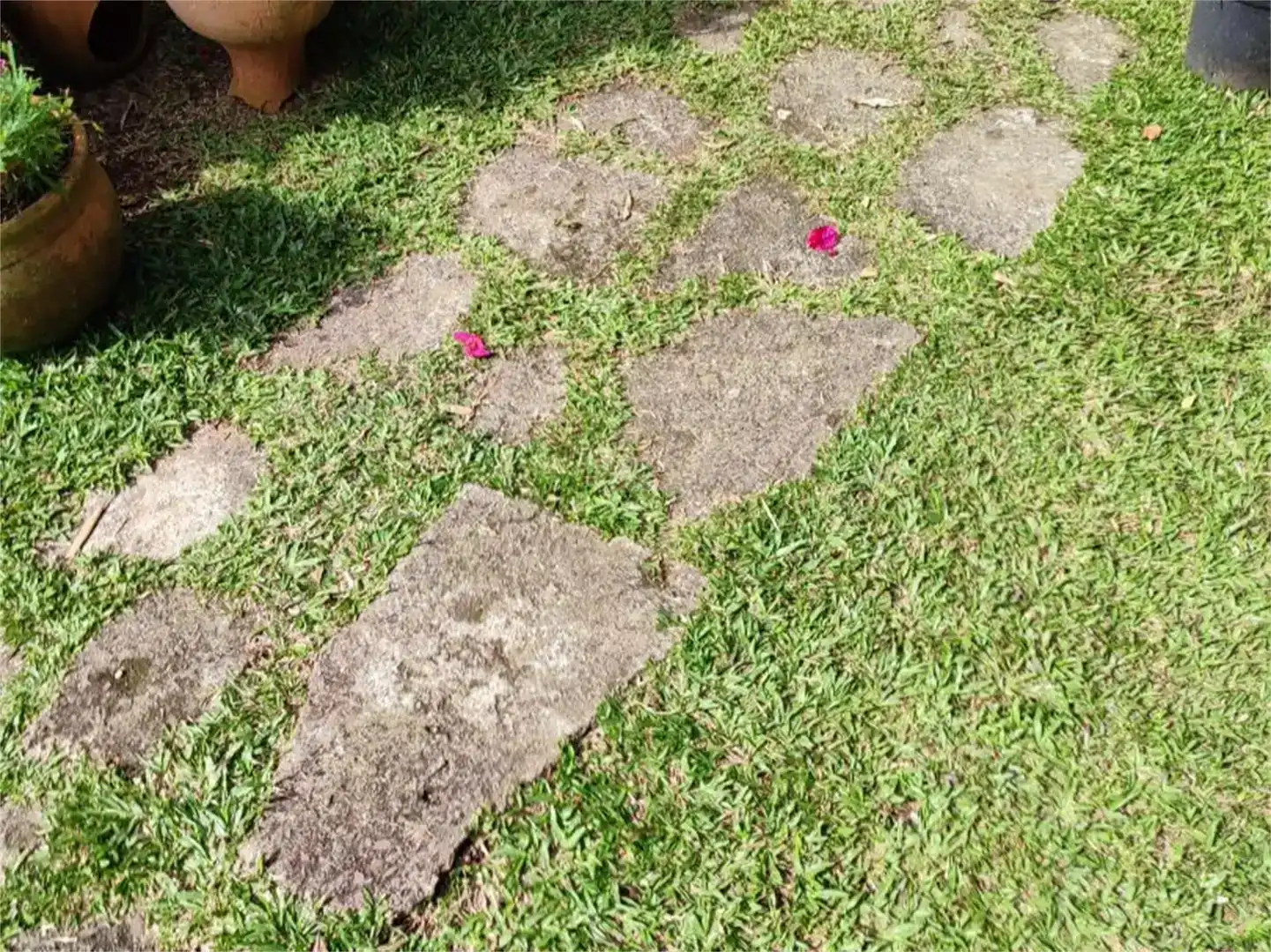 Jardí de Finca rústica en venda en Alcalá de los Gazules