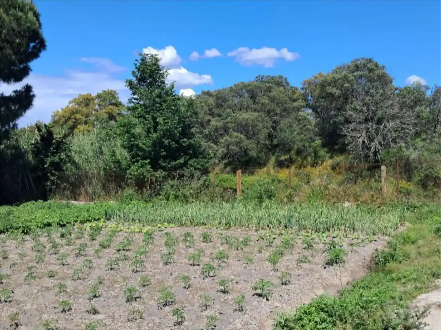 Pis en venda en Navalmoral de la Mata amb Aire condicionat, Jardí privat i Traster