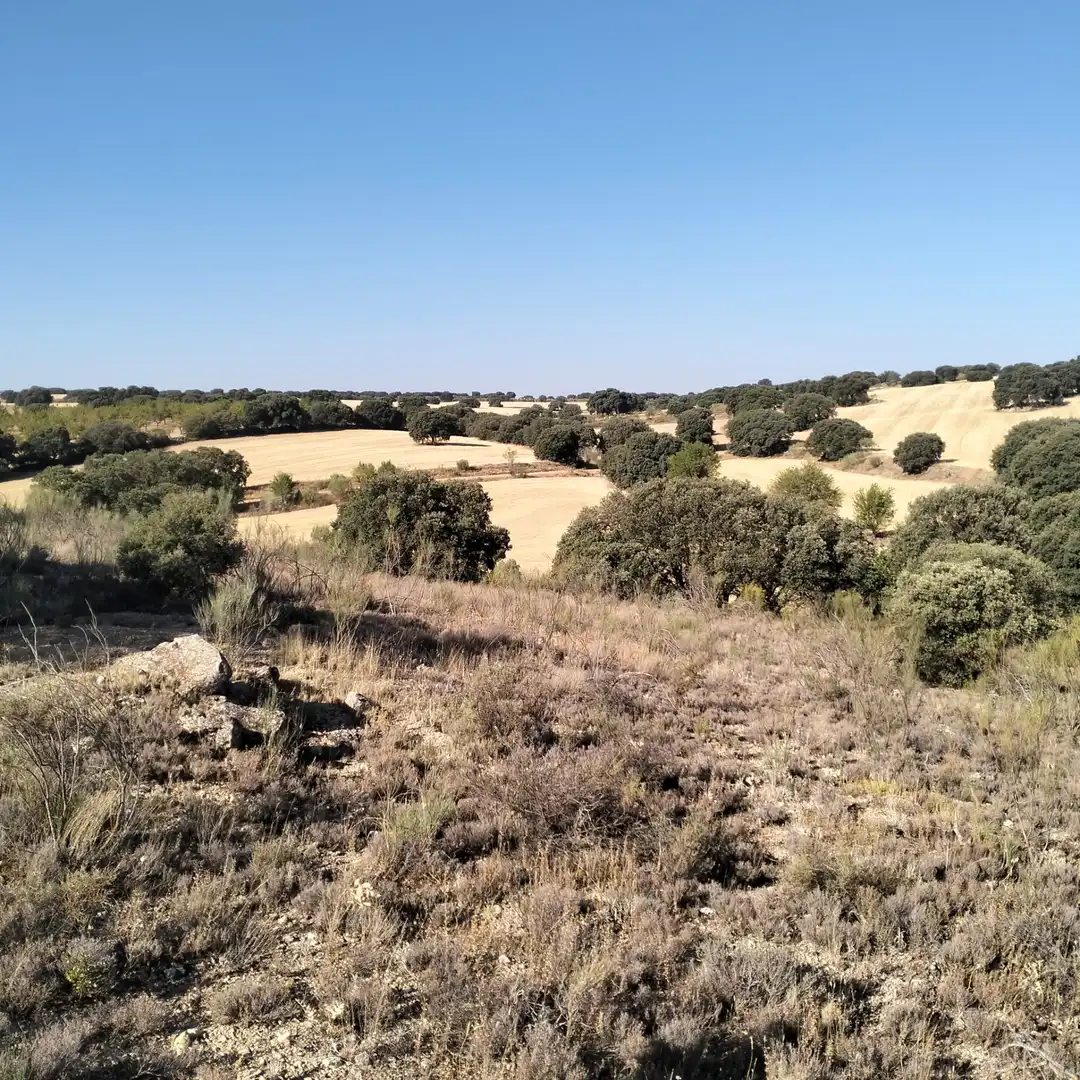 Terreno rustico in vendita a Munera, imagen 3