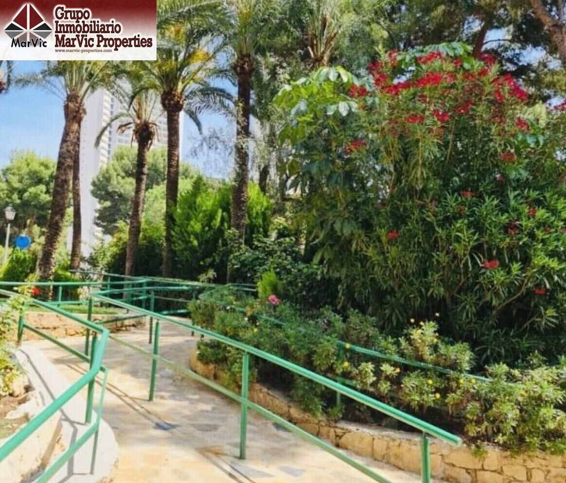 Jardín de Apartamento en venta en Benidorm con Amueblado y Piscina comunitaria