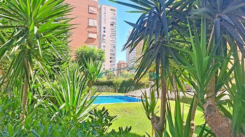Photo 5 of Flat for sale in Juzgados - Plaza de Toros, Benidorm