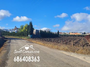 Terreno rustico in vendita a Avenida del Trabajo 135