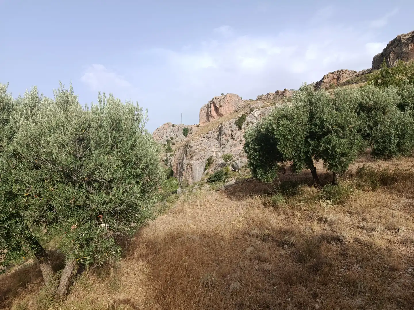 Terreni e lotti in vendita a Cogollos de la Vega, imagen 5