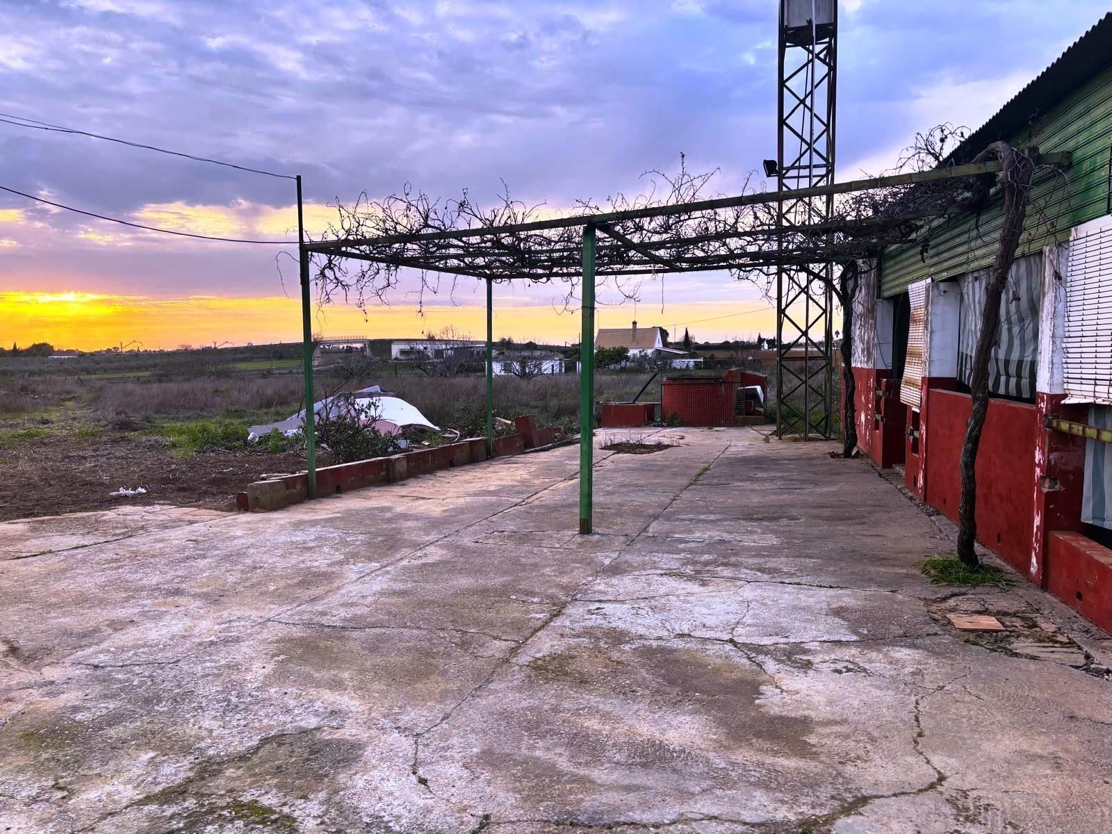Terrace of Land for sale in Olivares