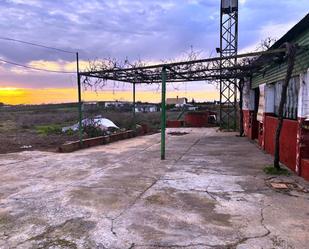 Terrassa de Terreny en venda en Olivares