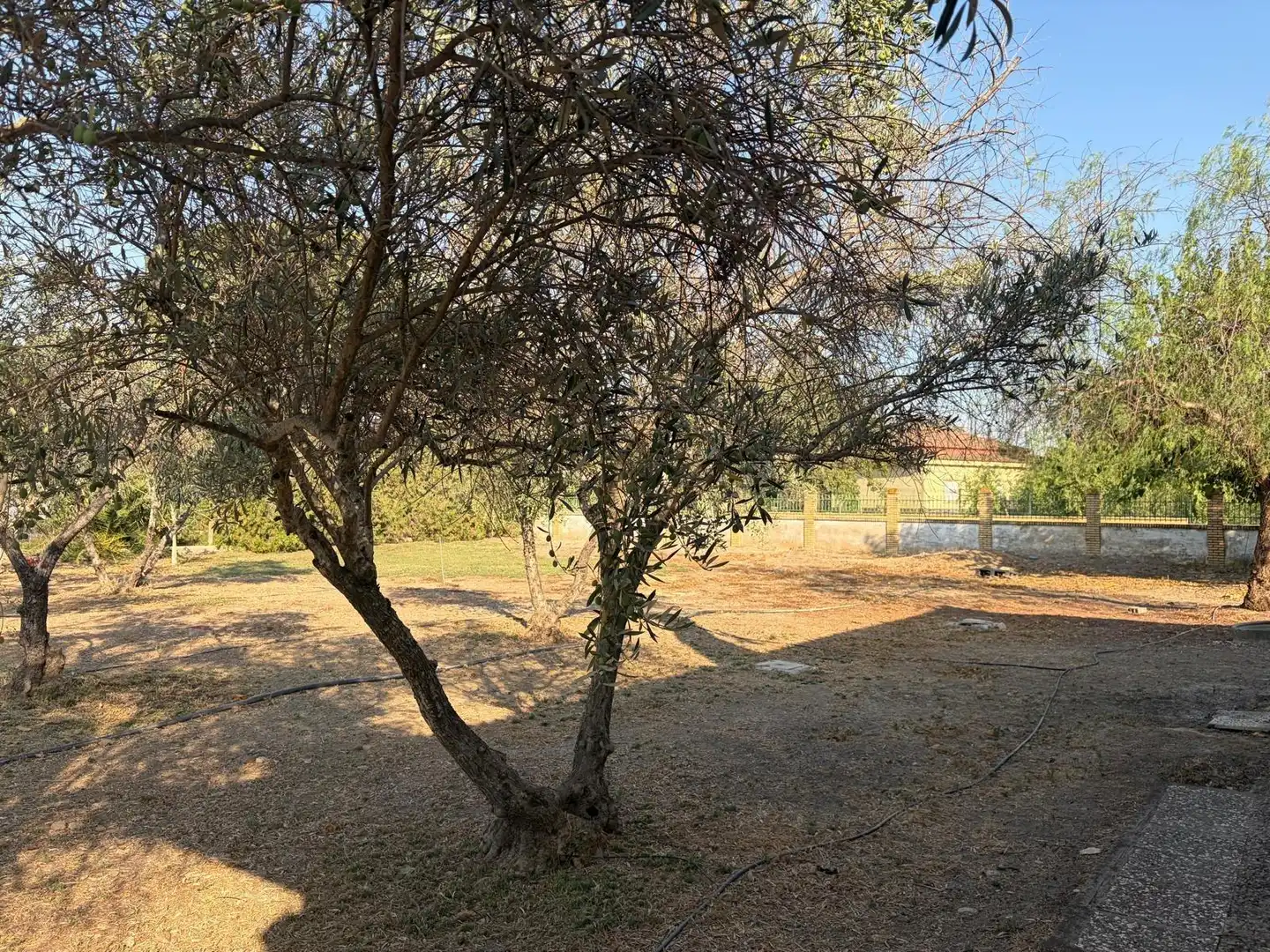 Villa avec piscine à vendre à Carmona, imagen 31