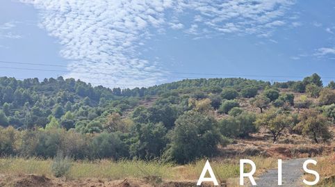 Foto 5 de Terreno en venta en Platero - El Limón, Alhaurín de la Torre