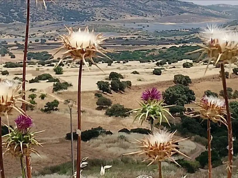 Habitatge amb jardí en venda a riscal16 16, imagen 8