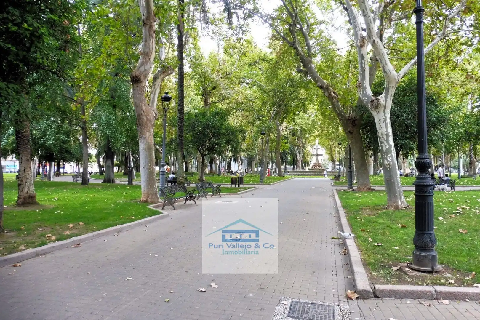 Piso con ascensor en venta en Colón, imagen 3