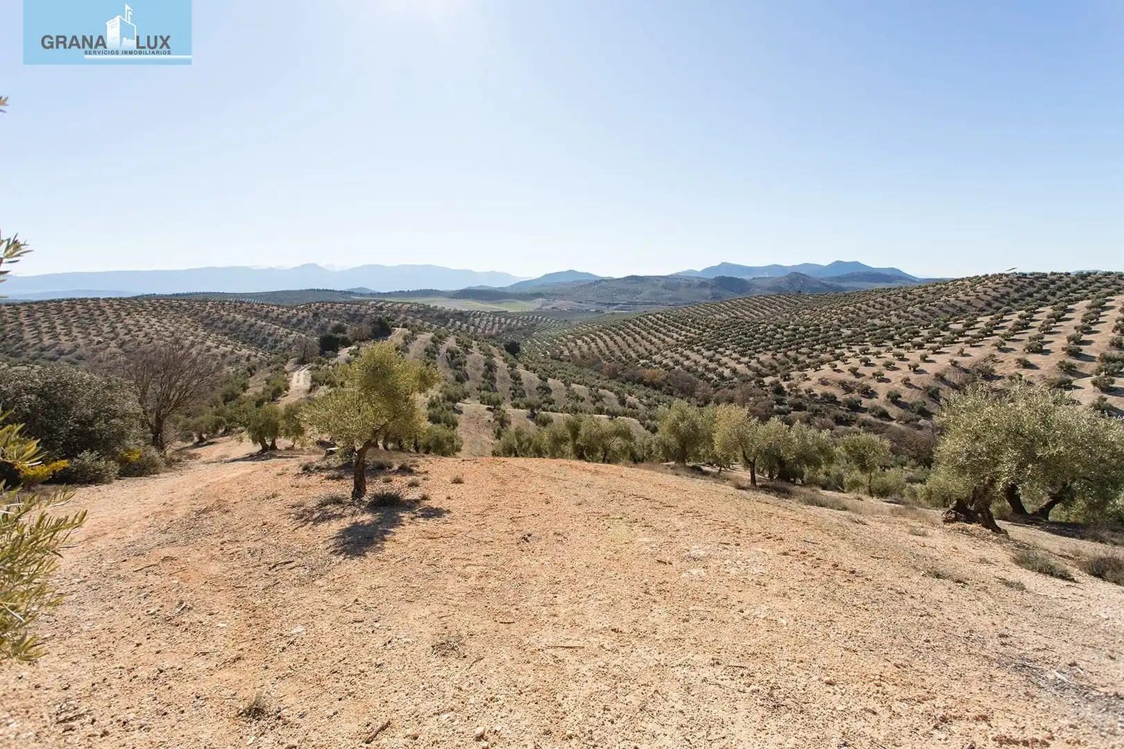 Land for sale in Campotéjar