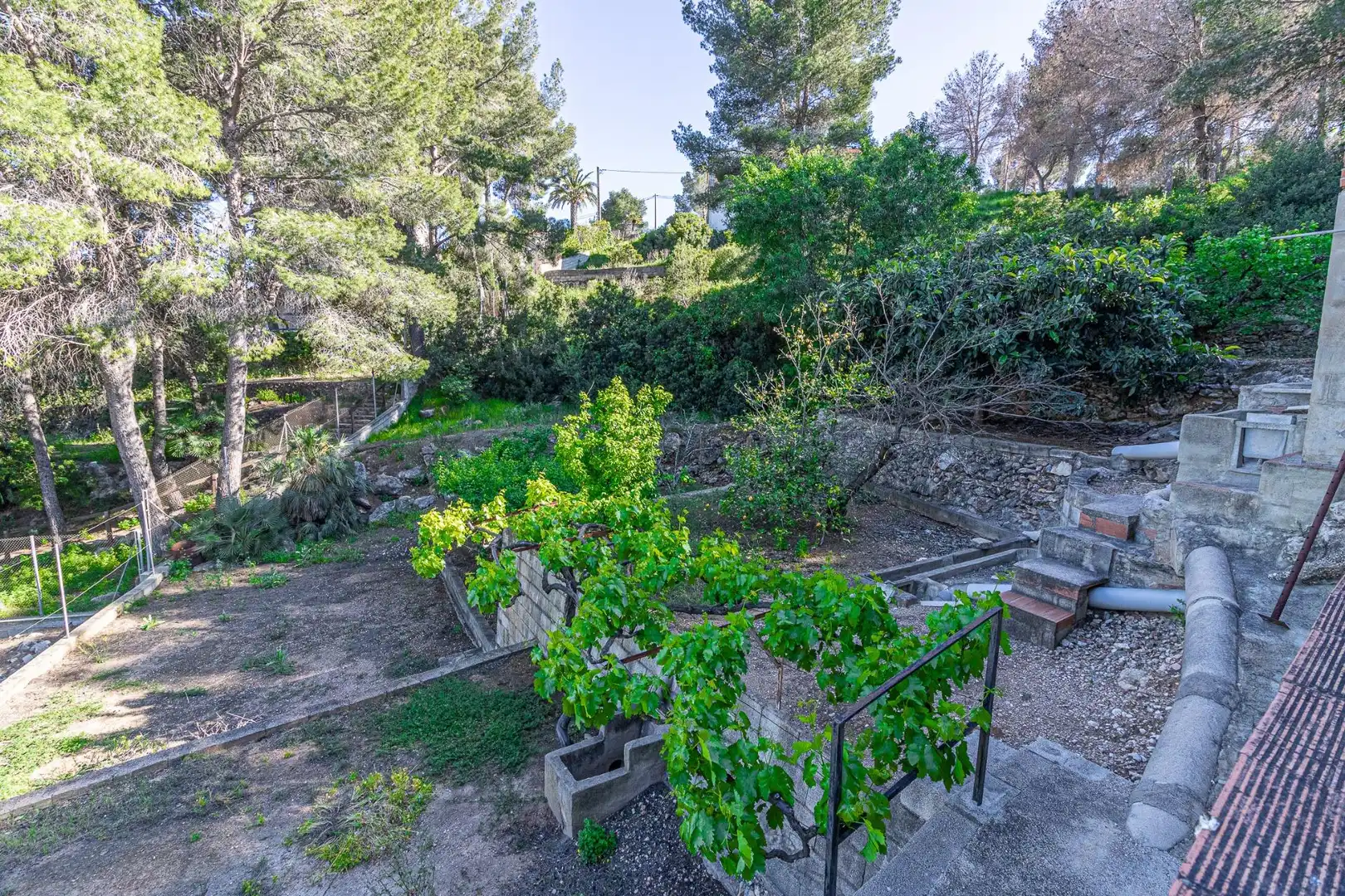 Garten von Haus oder Chalet zum Verkauf in Carlet mit Heizung, Privatgarten und Terrasse