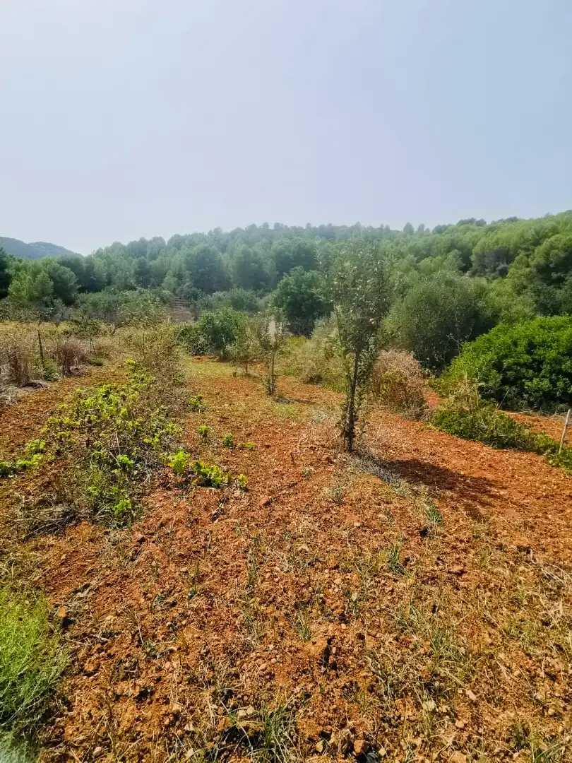 Villa avec jardin à vendre à Xaló, imagen 8