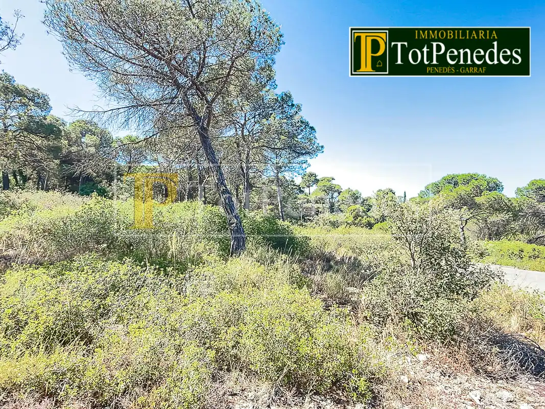 Terreny residencial en venda a Carrer Tarragona, imagen 11