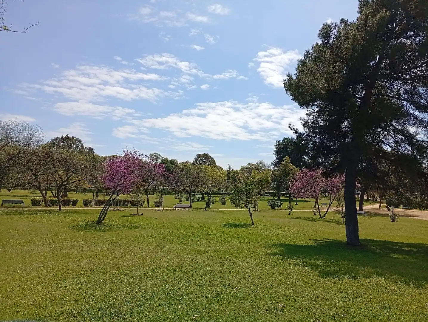 Garten von Wohnung zur Miete in Sevilla mit Klimaanlage, Terrasse und Möbliert