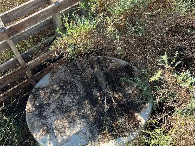 Jardín de Terreno en venta en Elche / Elx