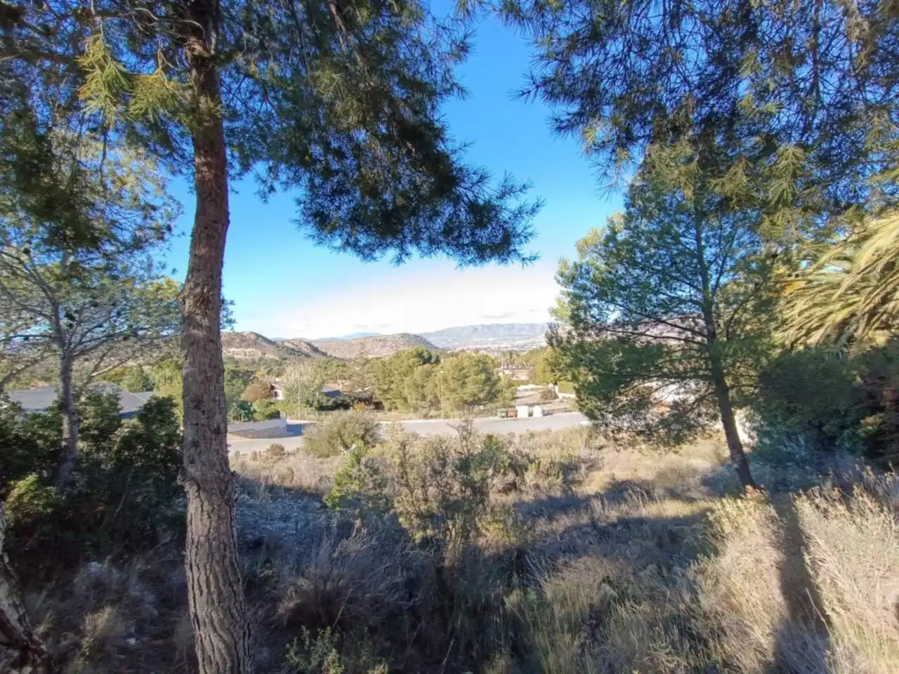 Terreno residencial en venta en Petrer, imagen 16