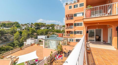 Foto 3 de Piso en venta en El Terreno, Palma de Mallorca