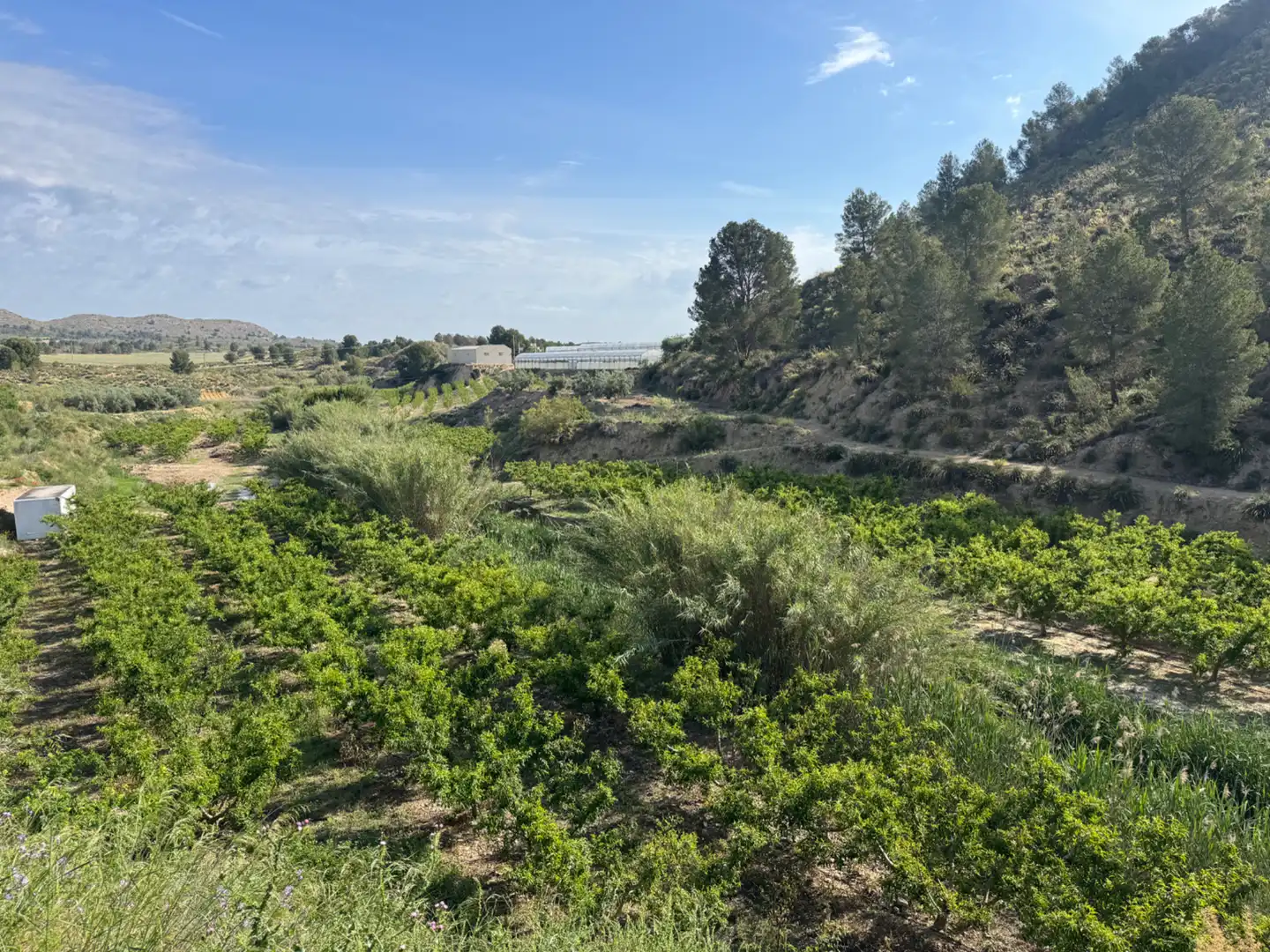 Terreno rustico in vendita a Calle 7.Canara 76, imagen 42