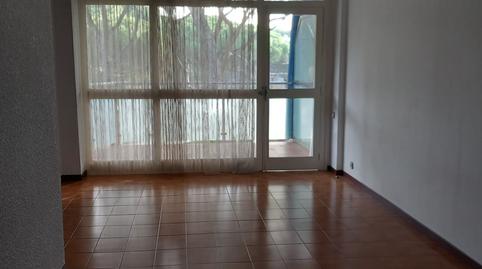 Foto 2 de Pis de lloguer a 21, La Pineda, Barcelona