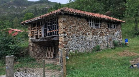 FINCA RÚSTICA CON CUADRA DE PIEDRA CERCA DE CANGAS DE ONIS, immagine 2