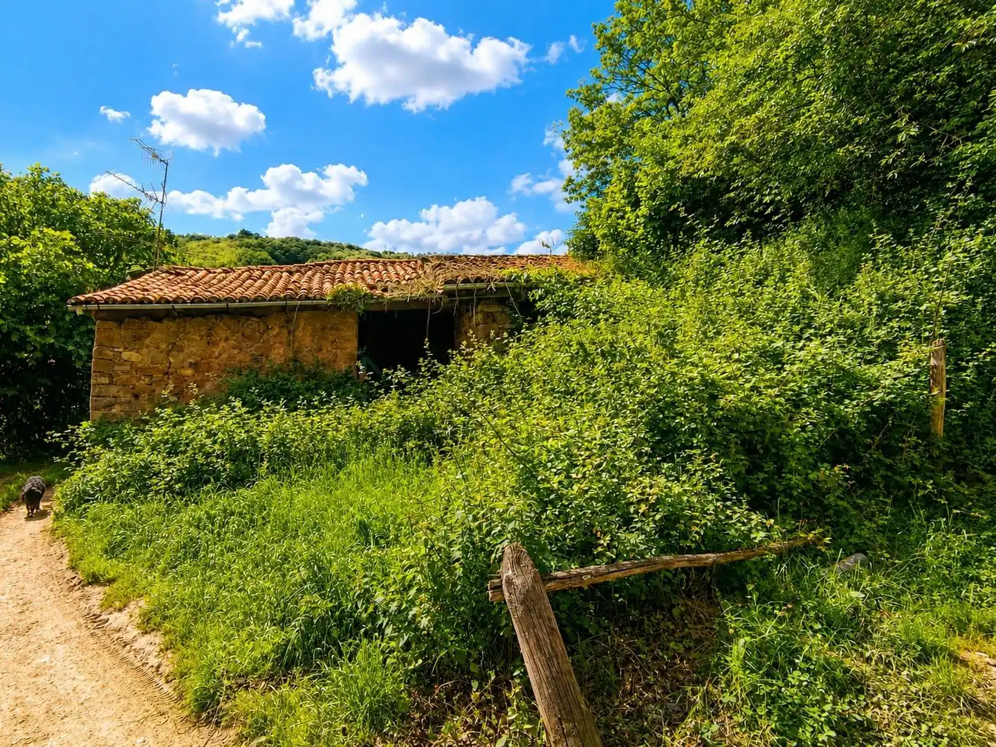 Casa o xalet en venda en Lena