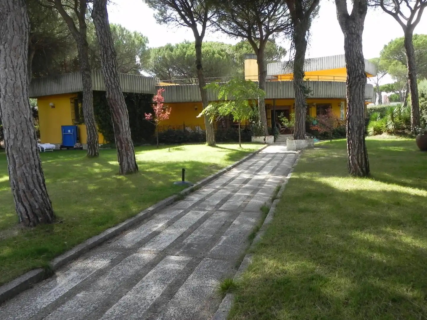 Vista exterior de Casa o chalet en venta en Tordesillas con Jardín privado y Terraza