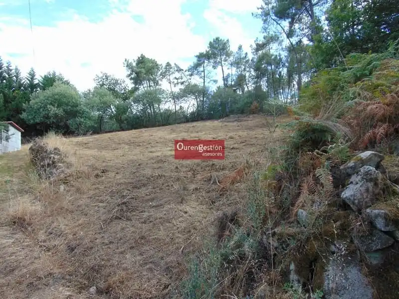 Terreni e lotti in vendita a Amoeiro, imagen 11