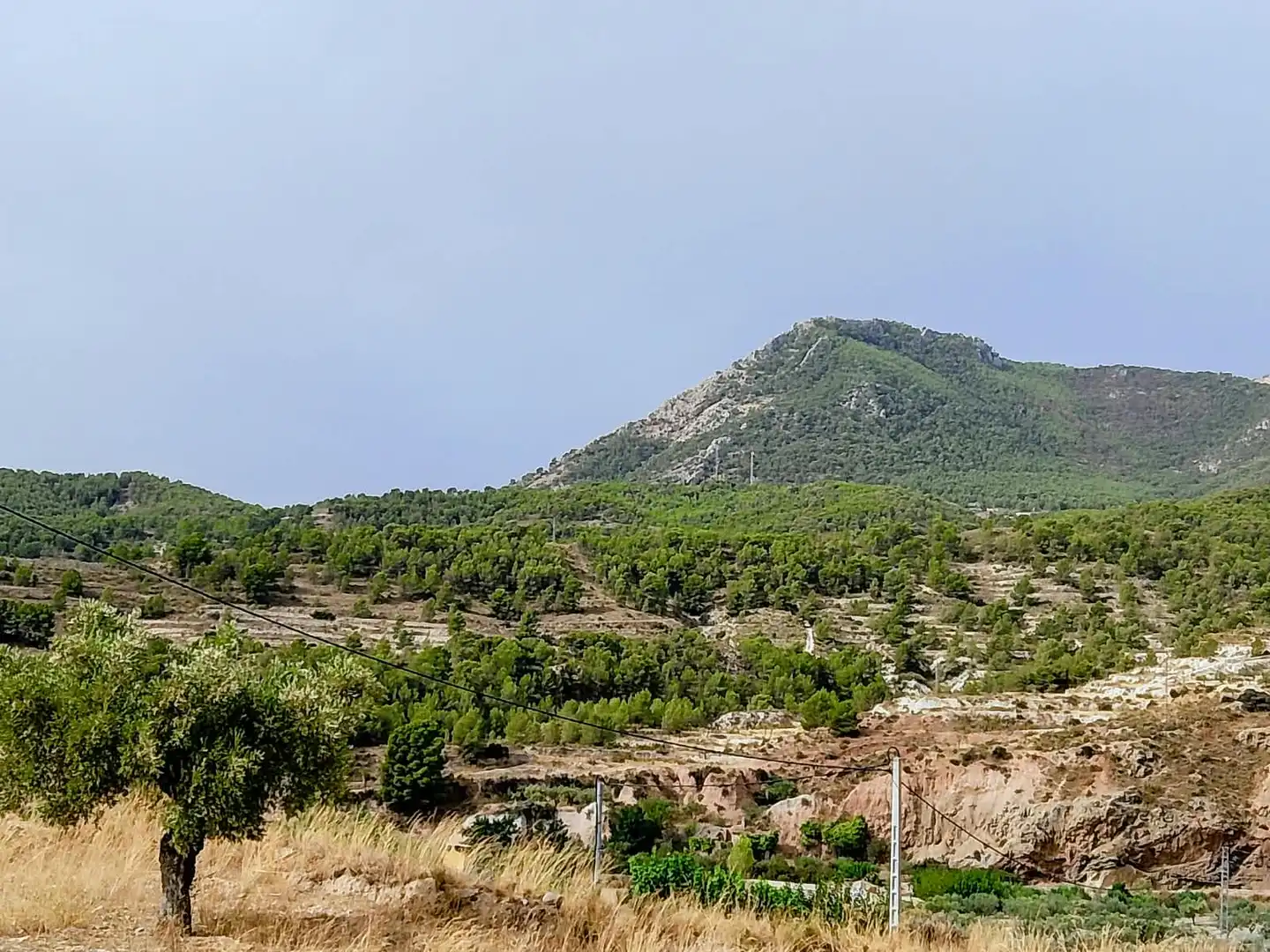 Terreno rustico in vendita a Lugar Castillo, imagen 4