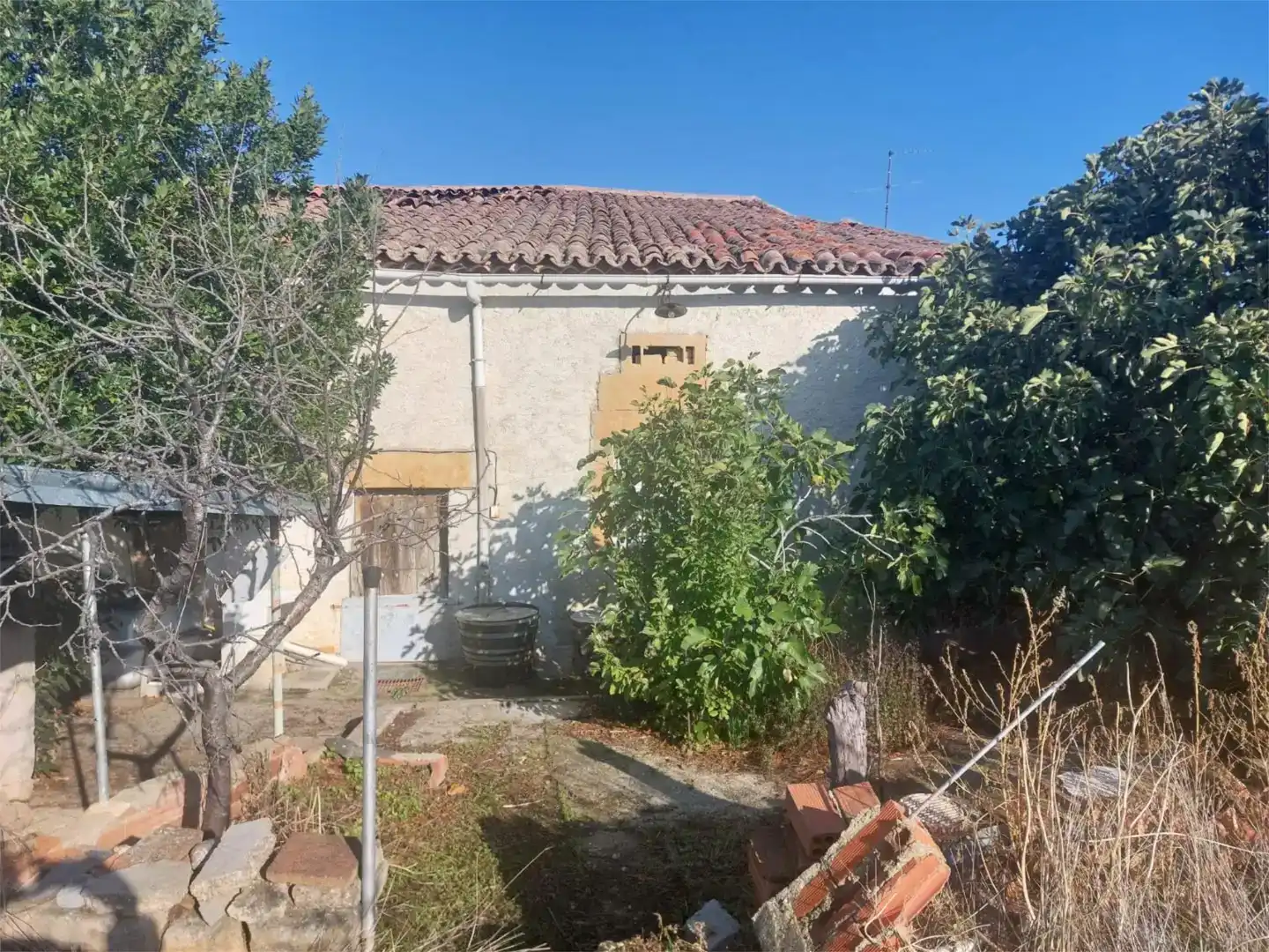 Vista exterior de Finca rústica en venda en Casaseca de las Chanas amb Jardí privat