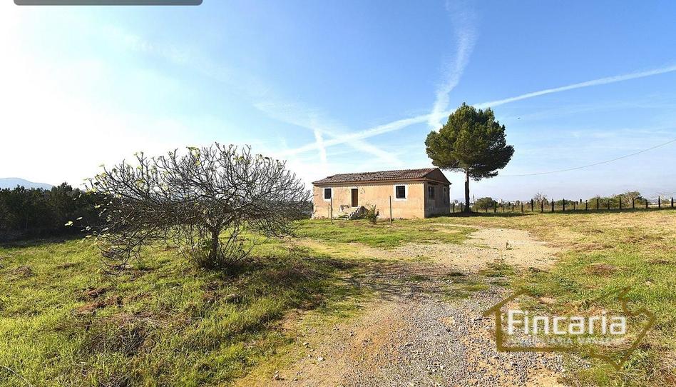 Foto 1 de Finca rústica en venta en Manacor-porto Cristo, Manacor Centre, Illes Balears