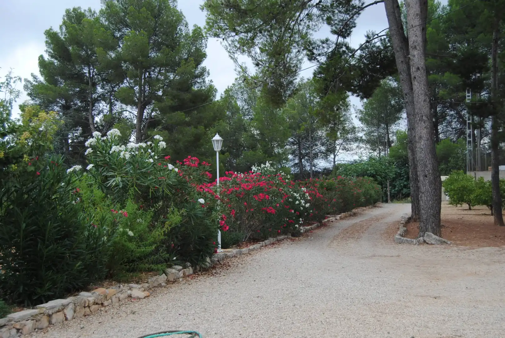 Villa con terrazza in vendita a Muro de Alcoy, imagen 92