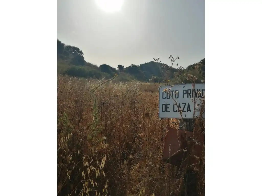 Residential for sale in Morón de la Frontera