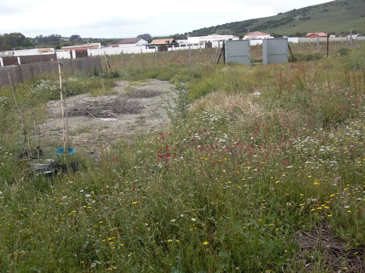 Casa rústica en venda a Vejer, imagen 17