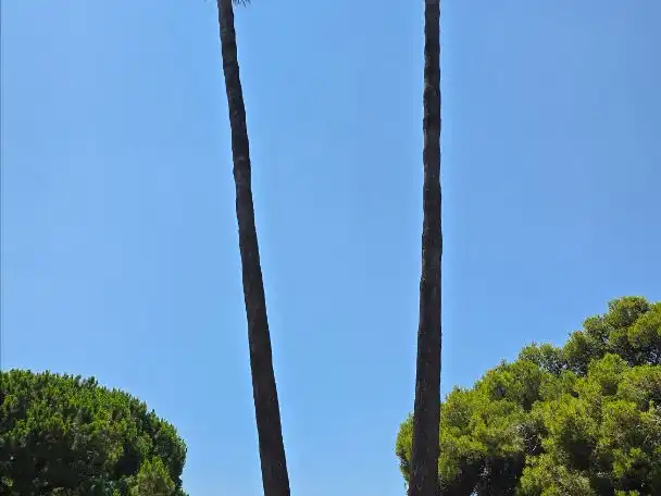 Jardí de Residencial en venda en Castellón de la Plana / Castelló de la Plana