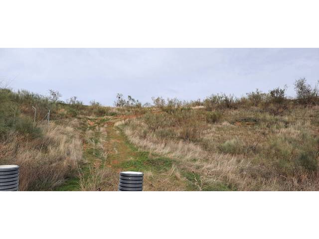 Terreno residencial en Venta en Camarma de Esteruelas