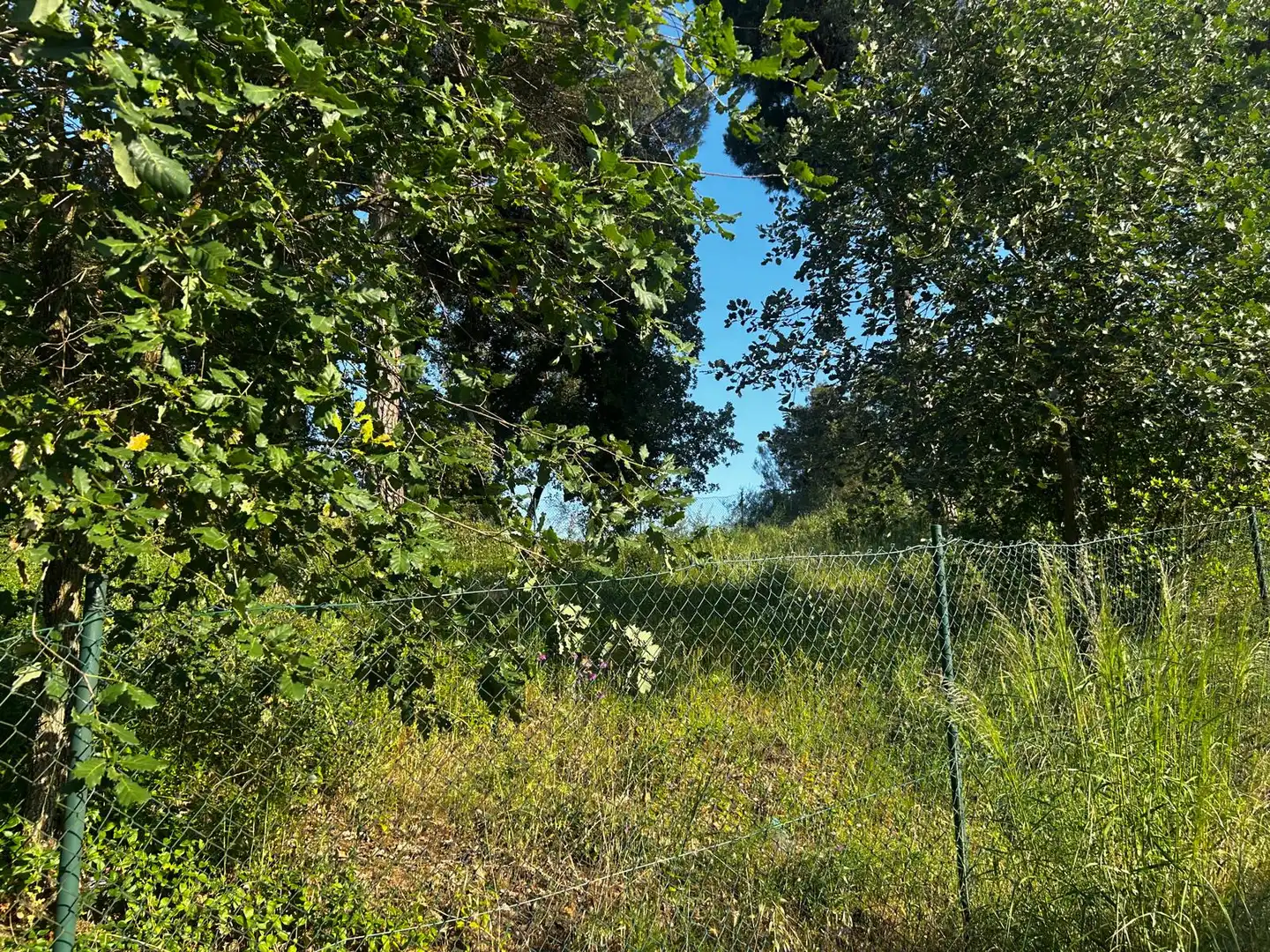 Residential land for sale in Residencial Park, imagen 9
