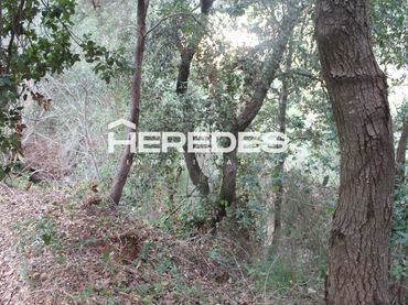 Terreno residenziale in vendita a Avinguda Avinguda 102