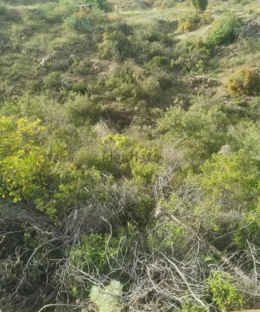 Grundstücke zum Verkauf in Santa Cruz de Tenerife