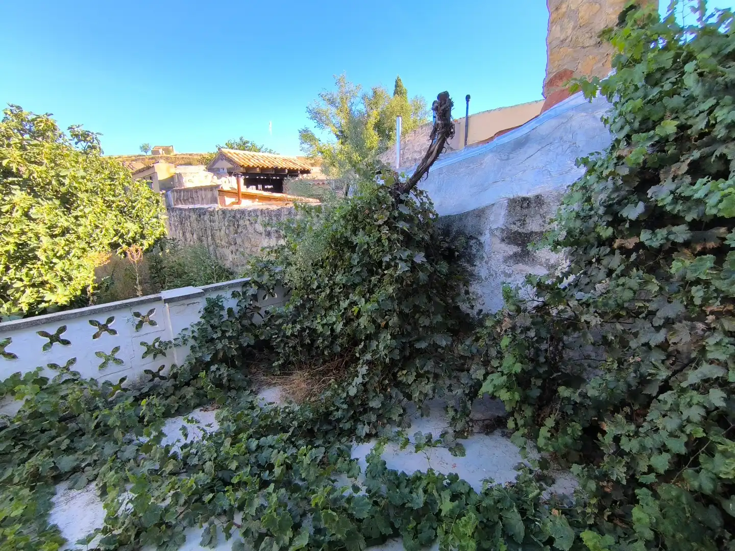 Haus mit Garten zum Verkauf in Calle Abilio Calderón 3, imagen 37