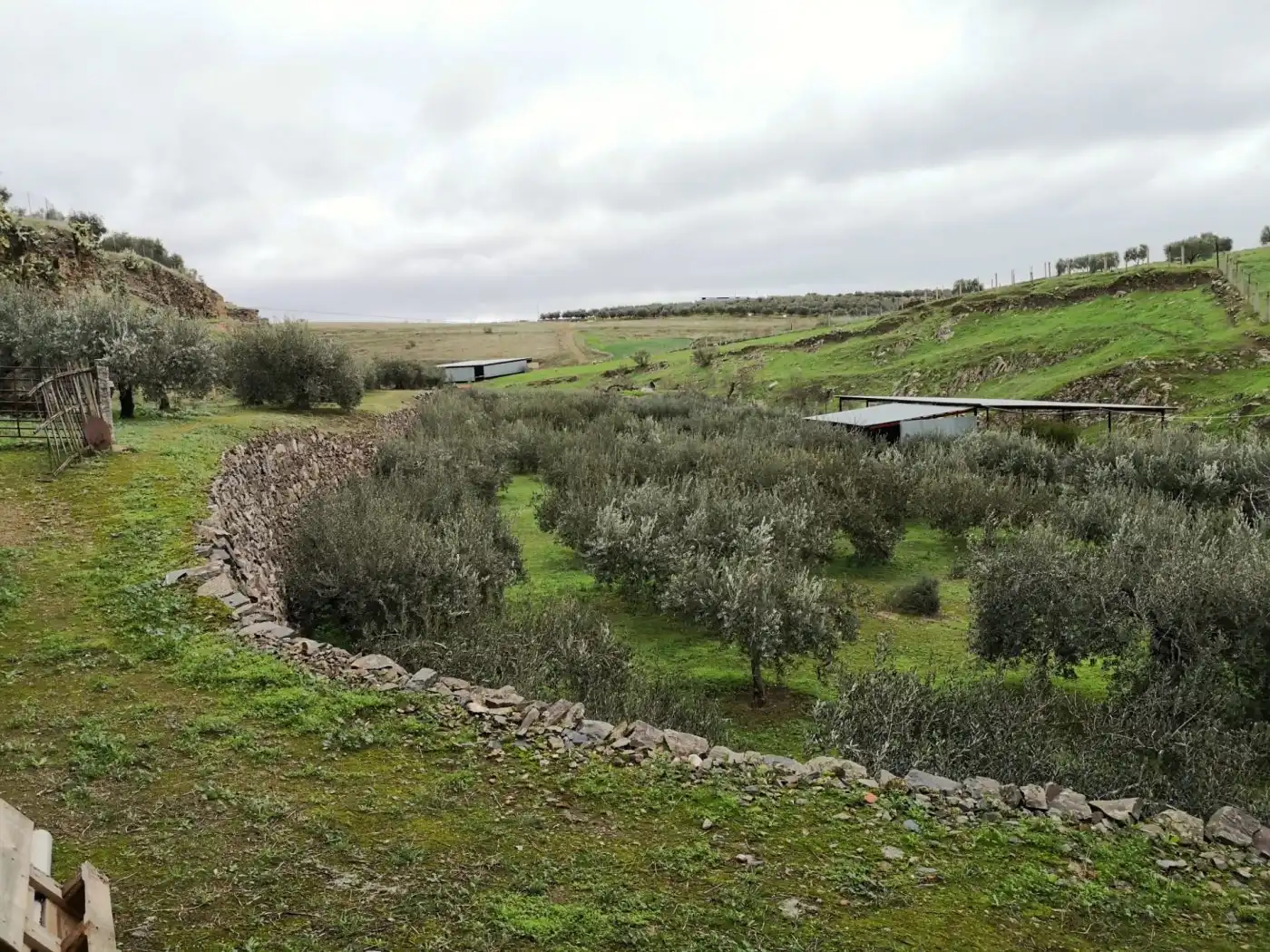 Finca rústica en venta en Belalcázar