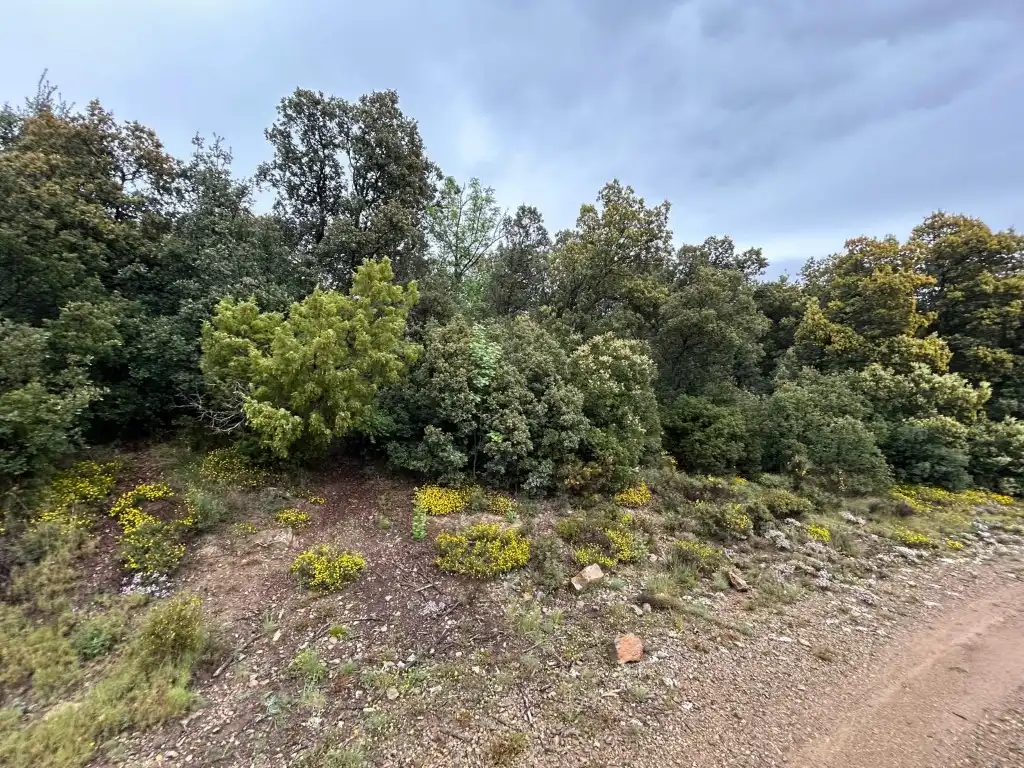 Country homes for sale in El Toro
