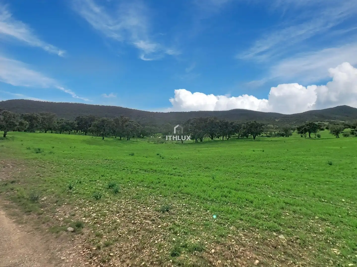 Finca rústica en venda en La Codosera