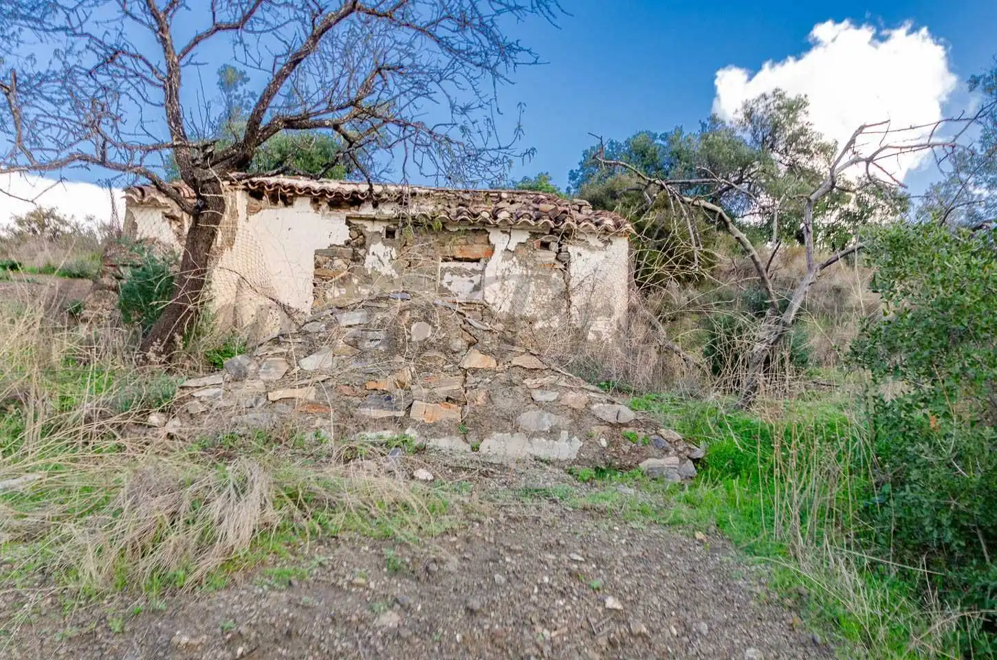 Terreno rustico in vendita a Salares