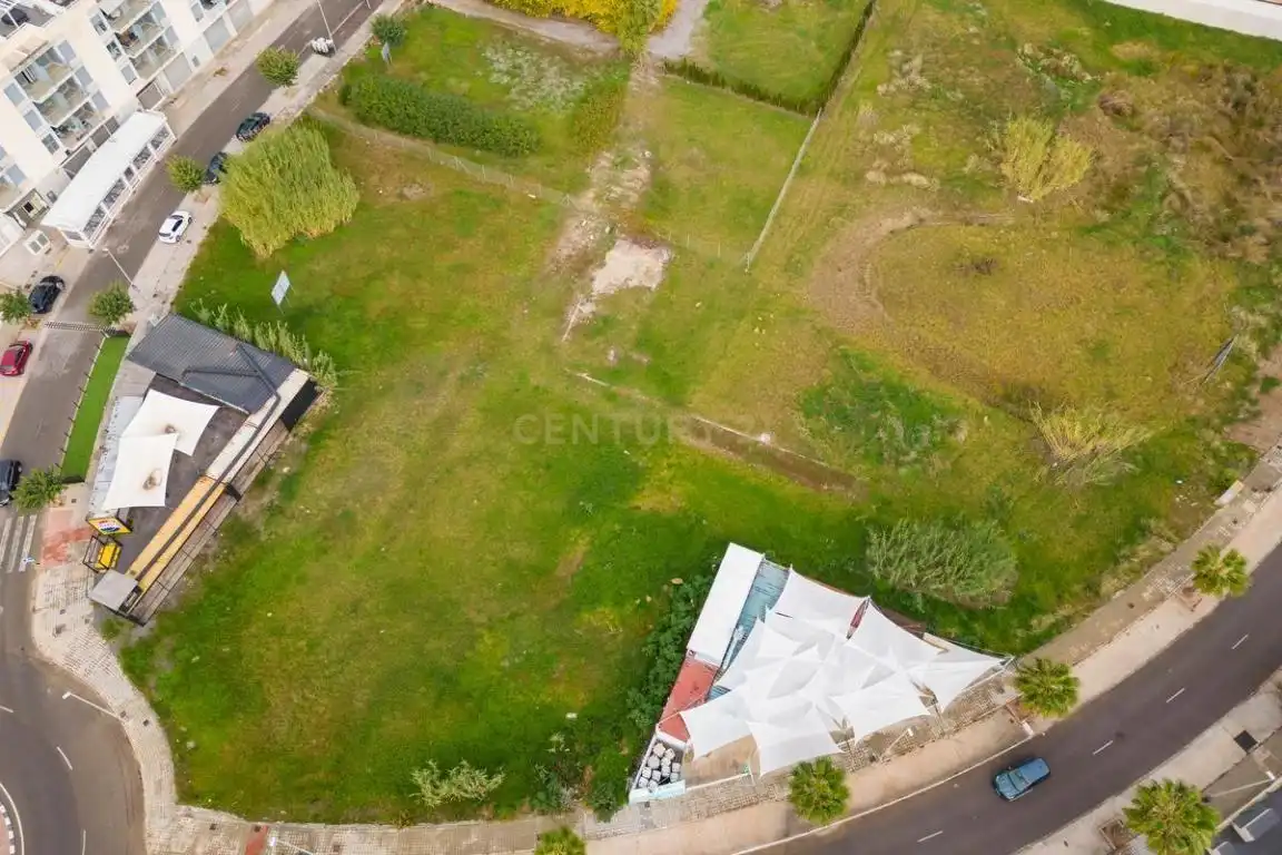 Land for sale in Almenara