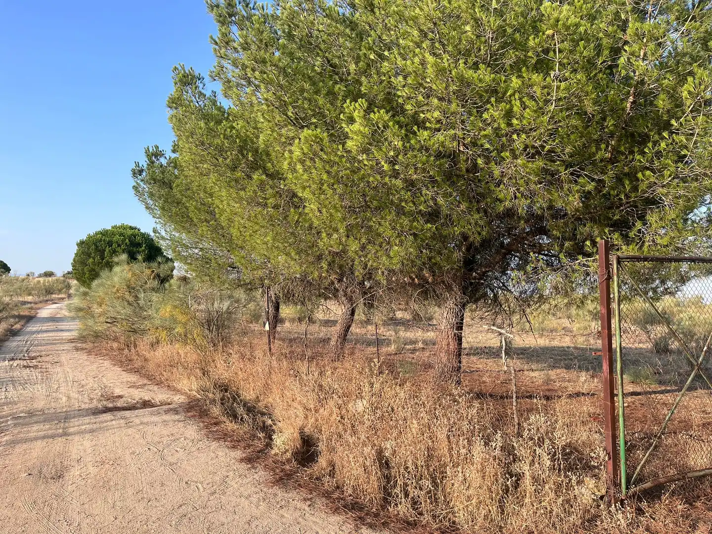 Terrain rustique à vendre à Colmenarejo, imagen 18