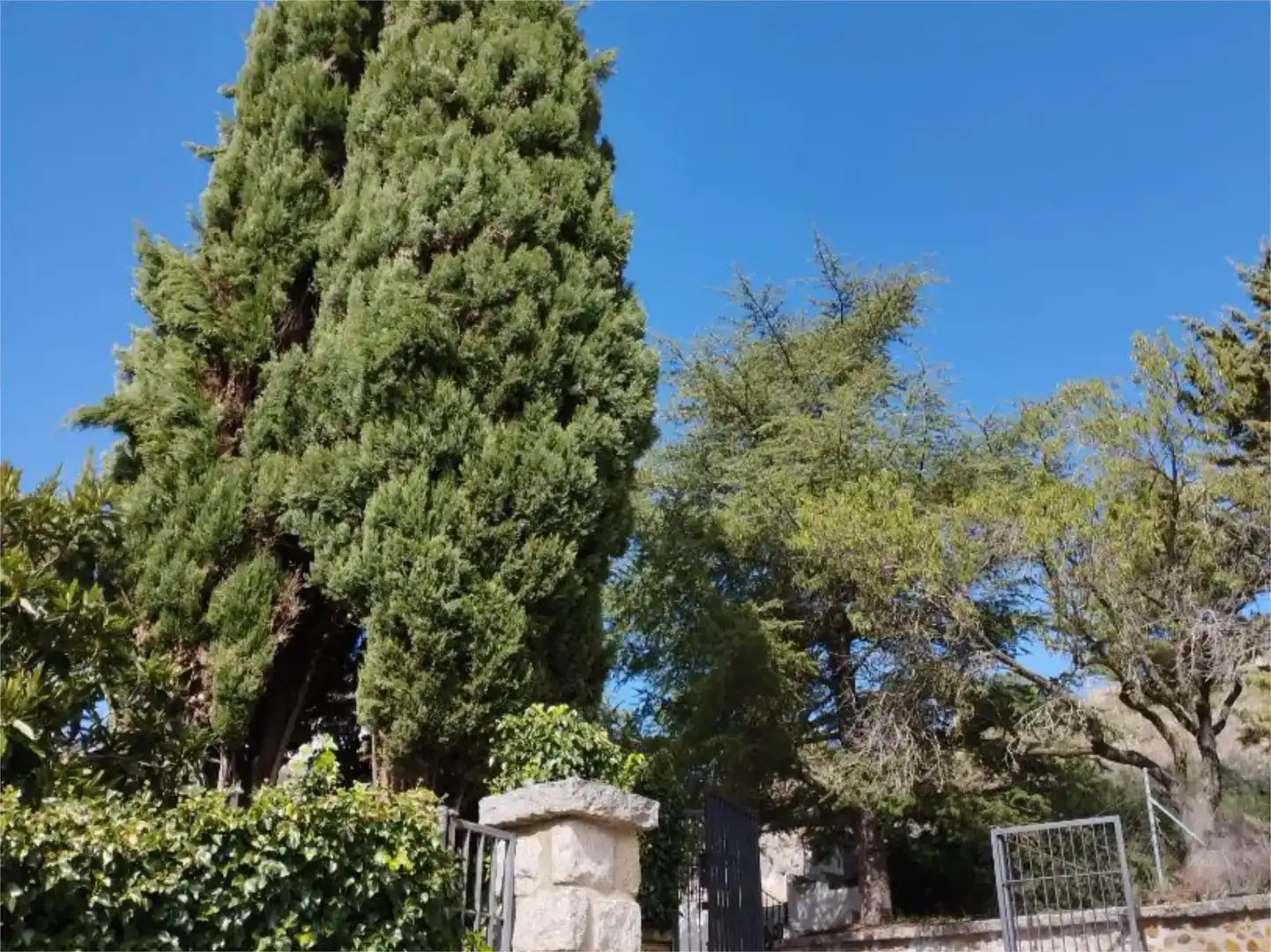 Jardí de Pis en venda en Ciudad Rodrigo amb Jardí privat, Piscina i Moblat