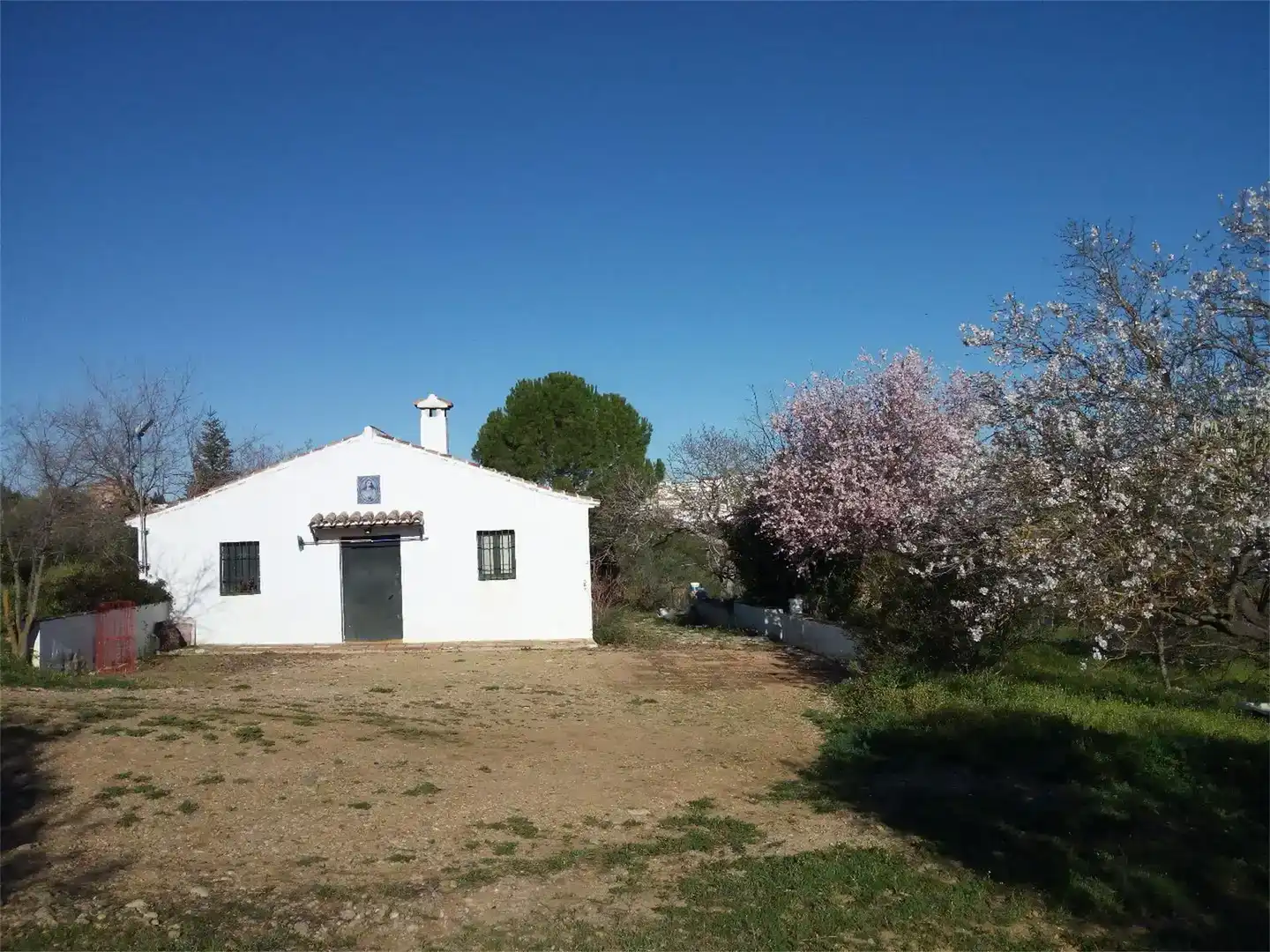 Vista exterior de Finca rústica en venda en Ronda