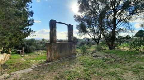 Photo 4 of House or chalet for sale in Binissalem, Illes Balears