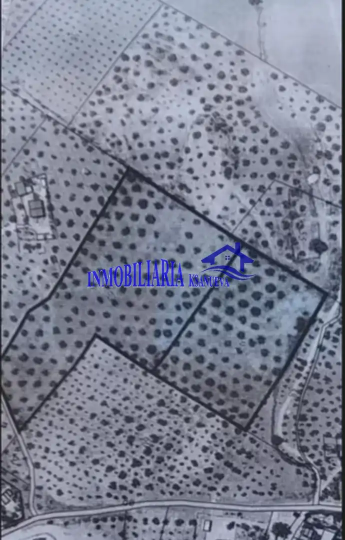 Finca rústica en venta en Lucena