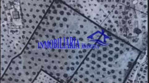 Foto 4 de Finca rústica en venda a Las Vegas - Campoaras, Lucena